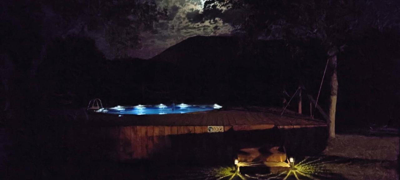 Guesthouse Mirko Hodak سيليست دريزنيكو المظهر الخارجي الصورة