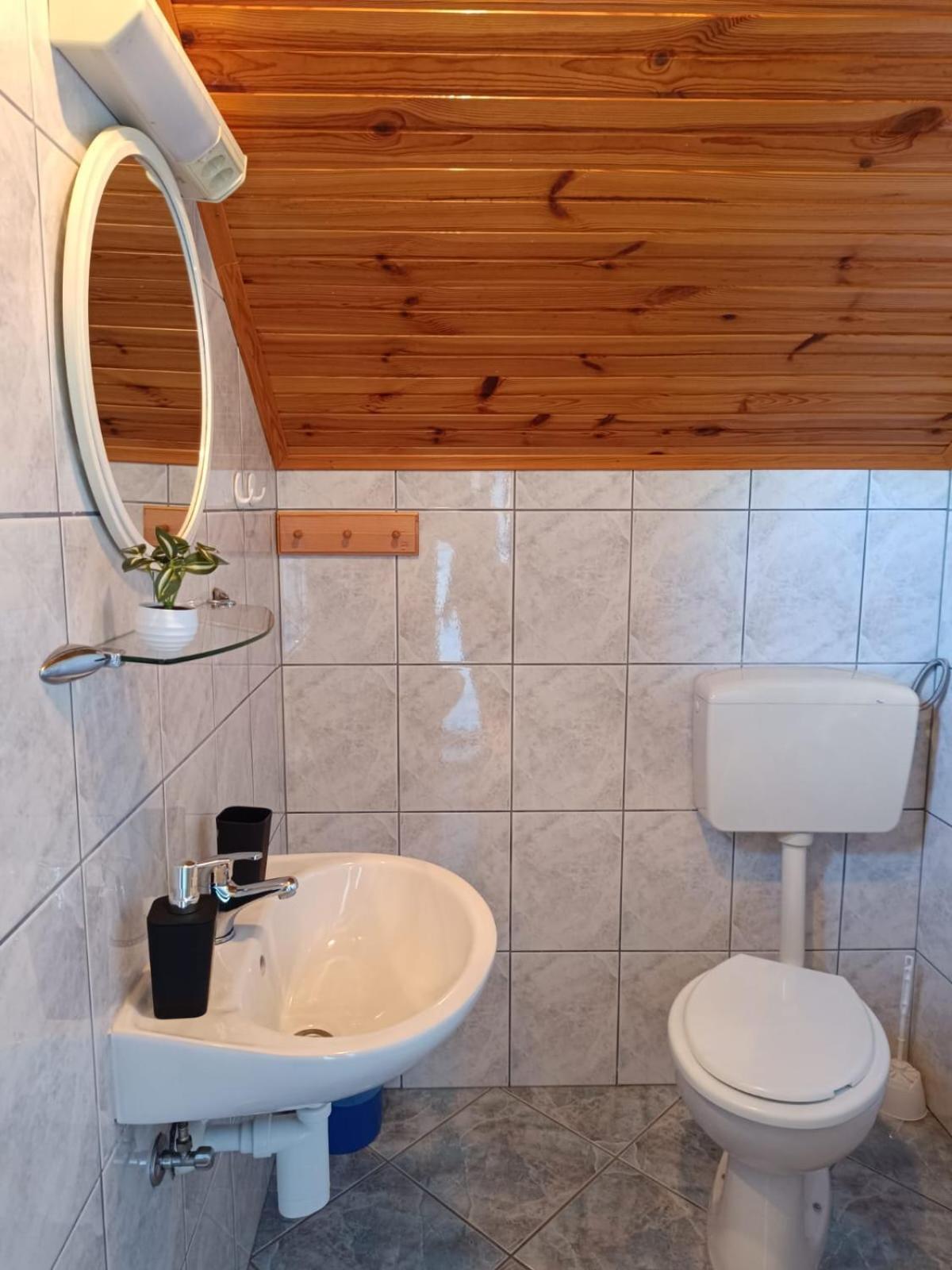 Guesthouse Mirko Hodak سيليست دريزنيكو المظهر الخارجي الصورة