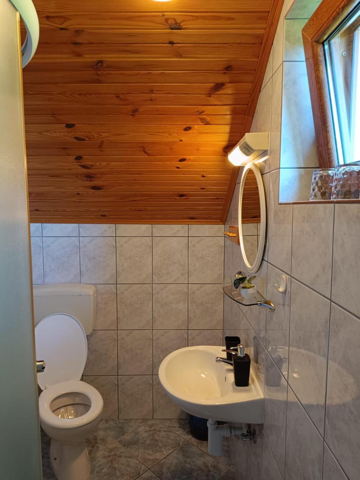 Guesthouse Mirko Hodak سيليست دريزنيكو المظهر الخارجي الصورة